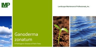 Ganoderma
zonatum
A Pathogenic Disease of PalmTrees
Landscape Maintenance Professionals, Inc.
 