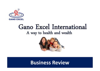 Gano Excel International
  A way to health and wealth




    Business Review
 