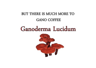 BUT THERE IS MUCH MORE TO
       GANO COFFEE
Ganoderma Lucidum
 