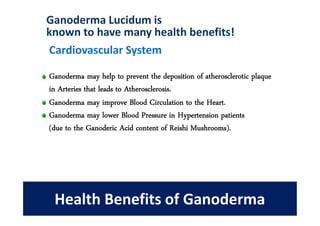 Ganoderma Lucidum is
known to have many health benefits!
Cardiovascular System

Ganoderma may help to prevent the deposition of atherosclerotic plaque
in Arteries that leads to Atherosclerosis.
Ganoderma may improve Blood Circulation to the Heart.
Ganoderma may lower Blood Pressure in Hypertension patients
(due to the Ganoderic Acid content of Reishi Mushrooms).




 Health Benefits of Ganoderma
 