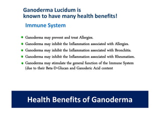 Ganoderma Lucidum is
known to have many health benefits!
Immune System
Ganoderma may prevent and treat Allergies.
Ganoderma may inhibit the Inflammation associated with Allergies.
Ganoderma may inhibit the Inflammation associated with Bronchitis.
Ganoderma may inhibit the Inflammation associated with Rheumatism.
Ganoderma may stimulate the general function of the Immune System
(due to their Beta-D-Glucan and Ganoderic Acid content




 Health Benefits of Ganoderma
 