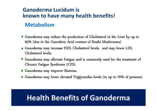 Ganoderma Lucidum is
known to have many health benefits!
Metabolism
Ganoderma may reduce the production of Cholesterol in the Liver by up to
95% (due to the Ganoderic Acid content of Reishi Mushrooms)
Ganoderma may increase HDL Cholesterol levels. and may lower LDL
Cholesterol levels.
Ganoderma may alleviate Fatigue and is commonly used for the treatment of
Chronic Fatigue Syndrome (CFS).
Ganoderma may improve Stamina.
Ganoderma may lower elevated Triglycerides levels (in up to 70% of persons).



 Health Benefits of Ganoderma
 