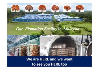 We are HERE and we want
  to see you HERE too
 