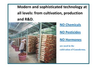 Modern and sophisticated technology at
all levels: from cultivation, production
and R&D.
                         NO Chemicals

                         NO Pesticides

                         NO Hormones
                         are used in the
                         cultivation of Ganoderma.
 