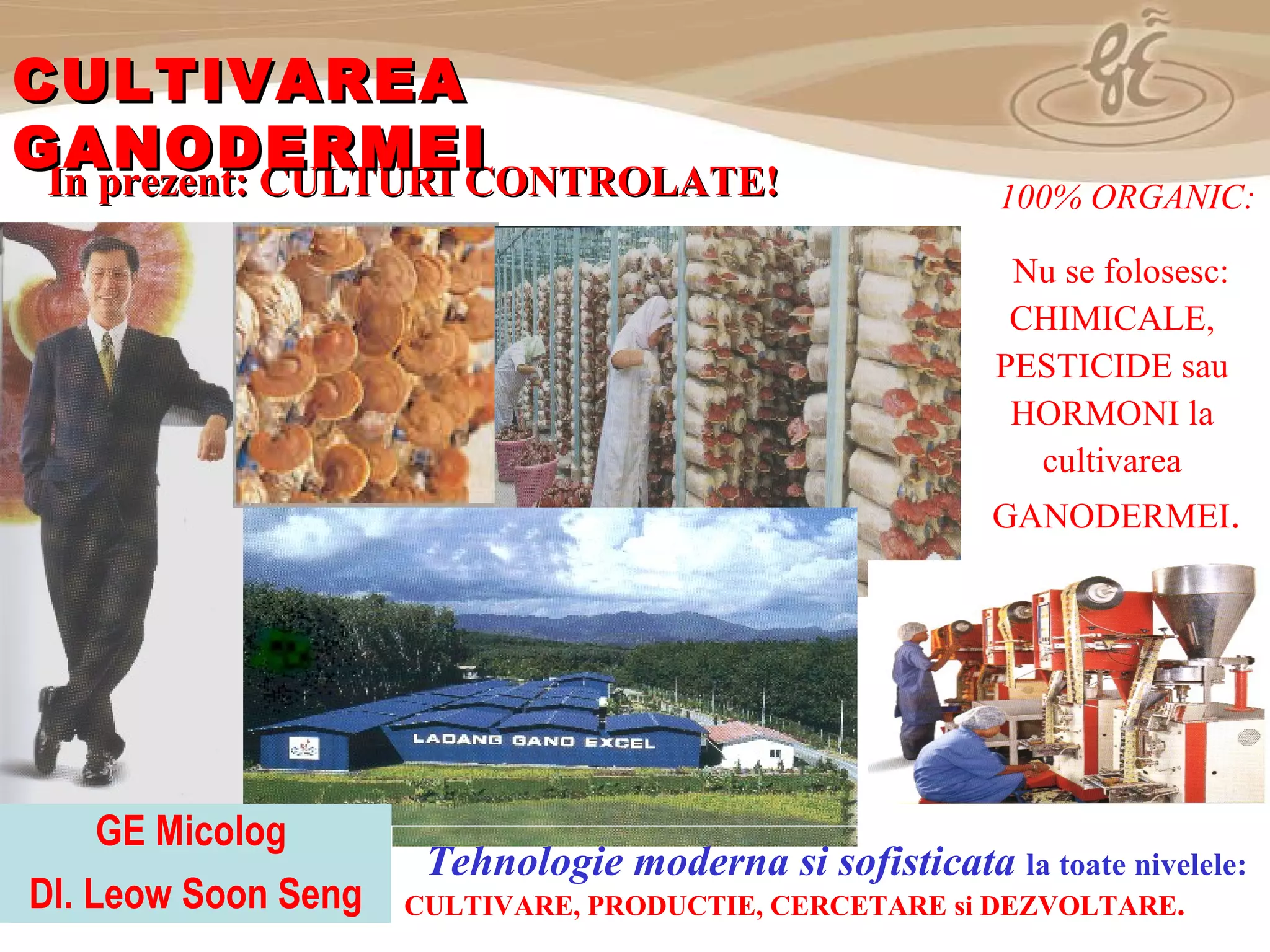 As a member of the Direct Selling Association,  Gano Excel  pledges to conduct its business with the highest level of ethics and offers you this opportunity with a  1-year satisfaction guarantee . NO RISK 100%  ORGANIC :   Nu se folosesc:   CHIMICALE,   PESTICIDE sau  HORMON I  la  cultivare a   GANODERMEI . GE Micolog  Dl. Leow Soon Seng Tehnologie moderna si   sofisticata   la toate nivelele :  CULTIVARE ,  PRODUCTIE,   CERCETARE si  D EZVOLTARE . In prezent : CULTURI CONTROLATE! CULTIVAREA GANODERMEI 