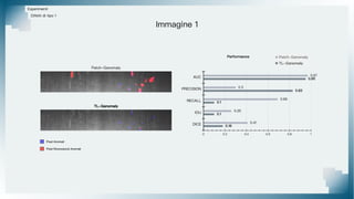Esperimenti
Patch-Ganomaly
TL-Ganomaly
Difetti di tipo 1
Immagine 1
Pixel Riconosciuti Anomali
Pixel Anomali
 