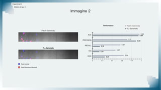 Esperimenti
Difetti di tipo 1
Immagine 2
TL-Ganomaly
Patch-Ganomaly
Pixel Riconosciuti Anomali
Pixel Anomali
 