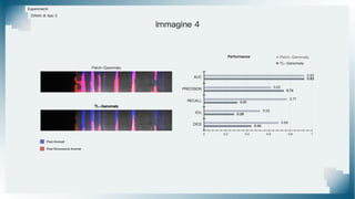Esperimenti
Difetti di tipo 2
Immagine 4
TL-Ganomaly
Patch-Ganomaly
Pixel Riconosciuti Anomali
Pixel Anomali
 