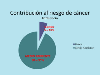 Contribución al riesgo de cáncer 
MEDIO AMBIENTE 
90 – 95% 
 