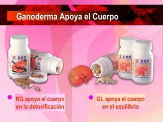 Ganoderma Apoya el Cuerpo

RG apoya el cuerpo
en la detoxificación

GL apoya el cuerpo
en el equilibrio

 