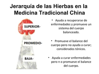 Jerarquía de las Hierbas en la
Medicina Tradicional China
• Ayuda a recuperarse de
enfermedades y promueve un
sistema del cuerpo
balanceado.
• Promueve el balance del
cuerpo pero no ayuda a curar;
considerados tónicos.
• Ayuda a curar enfermedades
pero n o promueve el balance
del cuerpo.

 