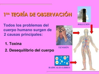 1RA TEORÍA DE OBSERVACIÓN
Todos los problemas del
cuerpo humano surgen de
2 causas principales:

POLUCIÓN

1. Toxina
TENSIÓN

2. Desequilibrio del cuerpo
+

+

+

+
+

RADICALES LIBRES

 