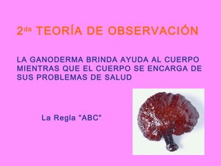 2 da TEORÍA DE OBSERVACIÓN
LA GANODERMA BRINDA AYUDA AL CUERPO
MIENTRAS QUE EL CUERPO SE ENCARGA DE
SUS PROBLEMAS DE SALUD

La Regla “ABC”

 