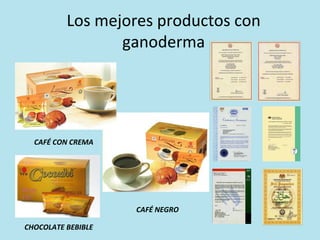 Los mejores productos con
ganoderma

CAFÉ CON CREMA

CAFÉ NEGRO
CHOCOLATE BEBIBLE

 
