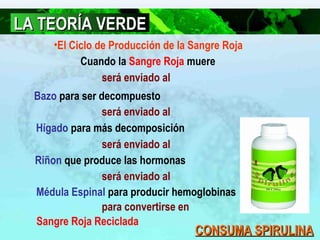 LA TEORÍA VERDE
•El Ciclo de Producción de la Sangre Roja
Cuando la Sangre Roja muere
será enviado al
Bazo para ser decompuesto
será enviado al
Hígado para más decomposición
será enviado al
Riñon que produce las hormonas
será enviado al
Médula Espinal para producir hemoglobinas
para convertirse en
Sangre Roja Reciclada

CONSUMA SPIRULINA

 
