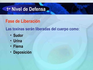 1er Nivel de Defensa
Fase de Liberación
Las toxinas serán liberadas del cuerpo como:
•
•
•
•

Sudor
Urina
Flema
Deposición

 