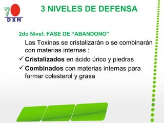 2do Nivel: FASE DE “ABANDONO”
Las Toxinas se cristalizarán o se combinarán
con materias internas :
 Cristalizados en ácido úrico y piedras
 Combinados con materias internas para
formar colesterol y grasa
3 NIVELES DE DEFENSA
 