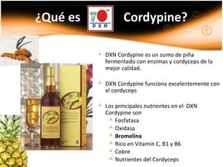¿Qué es Cordypine?
 DXN Cordypine es un zumo de piña
fermentado con enzimas y cordyceps de la
mejor calidad.
 DXN Cordypine funciona excelentemente con
el cordyceps
 Los principales nutrientes en el DXN
Cordypine son
 Fosfatasa
 Oxidasa
 Bromelina
 Rico en Vitamin C, B1 y B6
 Cobre
 Nutrientes del Cordyceps
 