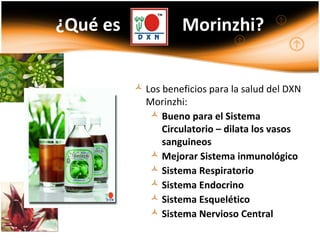  Los beneficios para la salud del DXN
Morinzhi:
 Bueno para el Sistema
Circulatorio – dilata los vasos
sanguineos
 Mejorar Sistema inmunológico
 Sistema Respiratorio
 Sistema Endocrino
 Sistema Esquelético
 Sistema Nervioso Central
¿Qué es Morinzhi?
 
