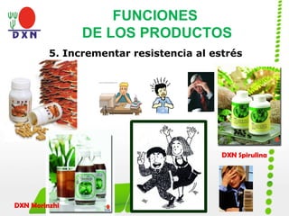 DXN Spirulina
DXN Morinzhi
5. Incrementar resistencia al estrés
FUNCIONES
DE LOS PRODUCTOS
 