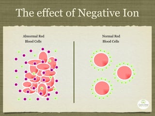 The effect of Negative Ion Normal Red Blood Cells  Abnormal Red Blood Cells  - - - - - - - - - - - - - - - - - - - - - - - - - - - - - - - - - - - - - - - - - - - - - - - - - - - - - - - - - - - + + + + + + + + + + + + + + + + + + + + + + + + + + + + + 