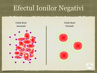 Efectul Ionilor Negativi
Celule RosiiCelule Rosii
NormaleNormale
-
-
-
-
-
-
-
-
-
- --
- -
-
-
-
-
-
-
-
-
-
-
- --
- -
-
-
-
-
-
-
-
-
-
-
- --
- -
-
Celule RosiiCelule Rosii
AnormaleAnormale
-
-
-
-
-
-
-
-
-
-
-
-
-
-
+
+ +
+
+
+
+
+
+
+ +
+
+
+
+
+
+
+
+
+
+
+
+
+
+
+
+
+
+
 
