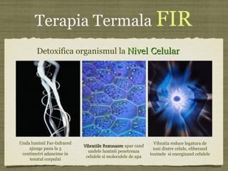 Terapia Termala FIR
Detoxifica organismul la Nivel CelularNivel Celular
Unda luminii Far-Infrared
ajunge pana la 5
centimetri adancime in
tesutul corpului
Vibratiile Rezonante Vibratiile Rezonante apar cand
undele luminii penetreaza
celulele si moleculele de apa
Vibratia reduce legatura de
ioni dintre celule, eliberand
toxinele si energizand celulele
 