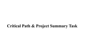 Critical Path & Project Summary Task
 