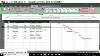 Step 3: User left click on "Project Summary Task (CheckBox)"
 
