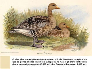 Conhecidos em tempos remotos e sua ocorrência descrevem da época em que os povos arianos viviam na Europa ou na Ásia e já eram conhecidas desde dos antigos egípcios (3.500 a.c), dos Gregos e Romanos ( 1.000 a.c). 