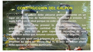CONSTRUCCION DEL GALPON
• UBICACIÓN: El galpón debe ubicarse preferentemente en un
lugar sin problemas de hundimientos, humedad o erosión. El
suelo franco es el ideal porque no cede a la cimentación.
• TECHO: El techo debe proveer la debida ventilación. Los
galpones de pequeña cantidad no tienen problemas de
ventilación, pero los de gran capacidad necesitan de una
ventilación activa que renueve constantemente el oxígeno.
• Techo de una agua: para galpones de pequeña capacidad, cuya
amplitud no debe ser mayor de 6 m. El lado de menor altura
debe oponerse al viento dominante.
 