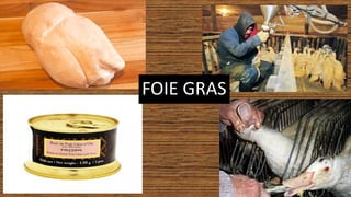 FOIE GRAS
 