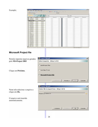 Exemplo:
Microsoft Project file
Permite importar arquivos gerados
pelo MS-Project 2003
Clique em Próximo.
Neste tela selecione o arquivo e
clique em Ok.
O arquivo será inserido
automaticamente.
28
 
