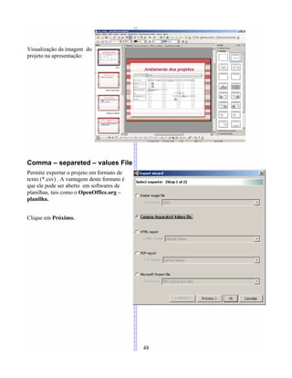 Visualização da imagem do
projeto na apresentação:
Comma – separeted – values File
Permite exportar o projeto em formato de
texto (*.csv) . A vantagem deste formato é
que ele pode ser aberto em softwares de
planilhas, tais como o OpenOffice.org –
planilha.
Clique em Próximo.
48
 