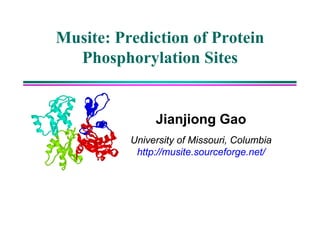 Musite: Prediction of Protein
  Phosphorylation Sites


               Jianjiong Gao
          University of Missouri Columbia
                        Missouri,
           http://musite.sourceforge.net/
 