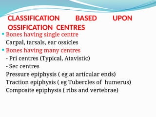 Comprehensive Overview of the Human Skeletal System: Structure ...