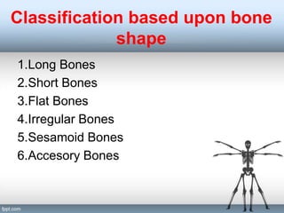 General Anatomy of bones and cartilage ppt | PPT