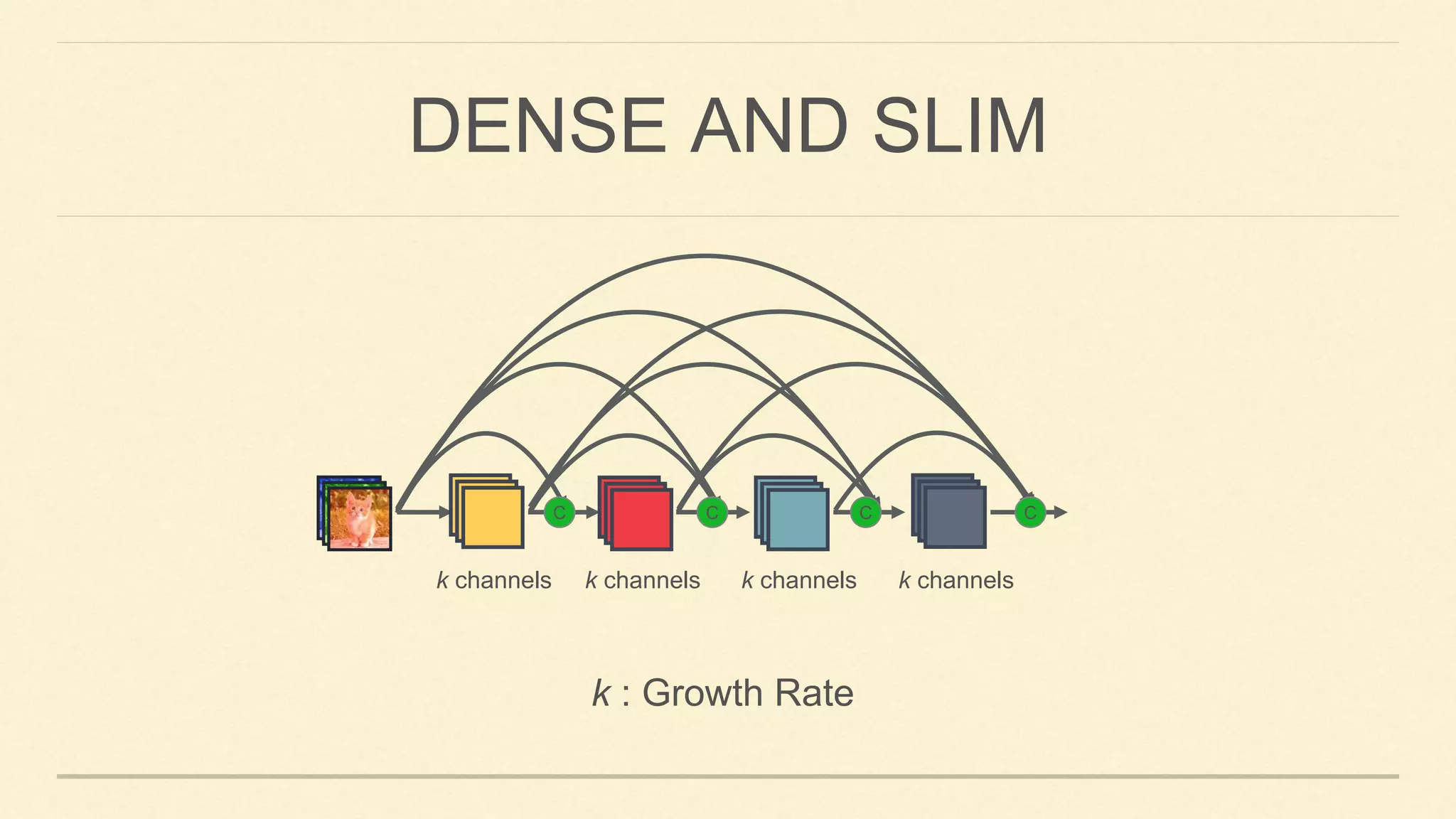 DENSE AND SLIM
k channels k channels k channels k channels
k : Growth Rate
C C C C
 