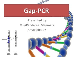 Gap-PCR
     Presented by
MissPandaree Meemark
     535090006-7
 