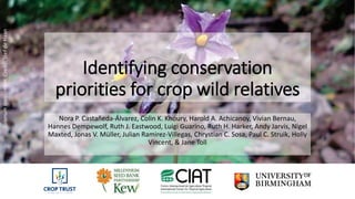 Identifying conservation
priorities for crop wild relatives
Nora P. Castañeda-Álvarez, Colin K. Khoury, Harold A. Achicanoy, Vivian Bernau,
Hannes Dempewolf, Ruth J. Eastwood, Luigi Guarino, Ruth H. Harker, Andy Jarvis, Nigel
Maxted, Jonas V. Müller, Julian Ramirez-Villegas, Chrystian C. Sosa, Paul C. Struik, Holly
Vincent, & Jane Toll
Solanumlaxissimum.Credit:StefdeHaan
 