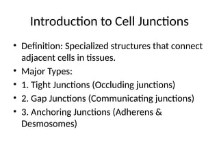 Gap_and_Tight_Junctions_with_Diagrams. Introduction about junctions ...
