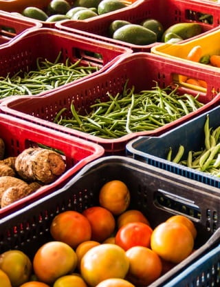 10
MINISTÉRIO DA SAÚDE
 