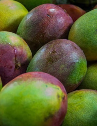 24
MINISTÉRIO DA SAÚDE
 