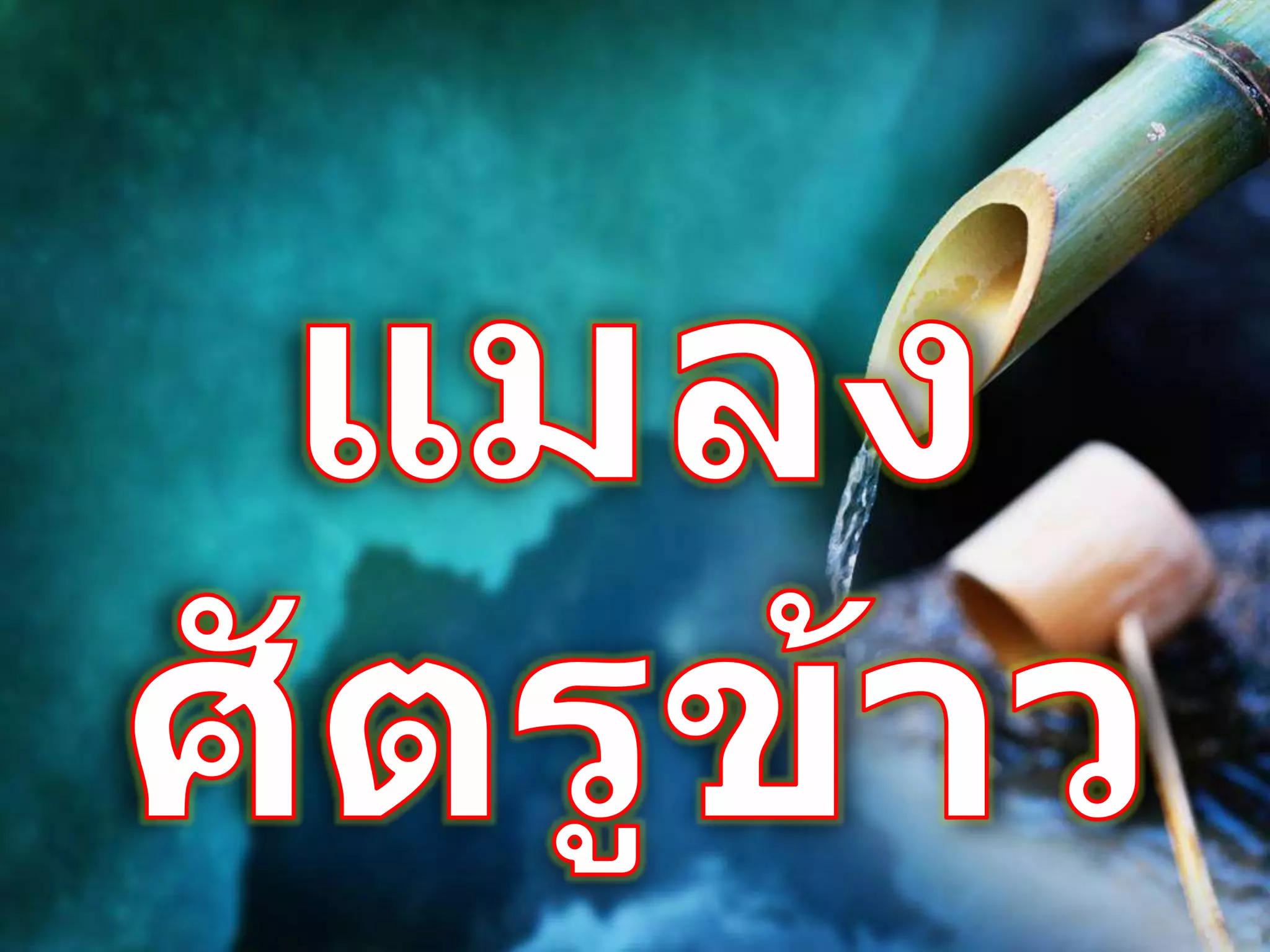 แมลงศัตรูข้าว