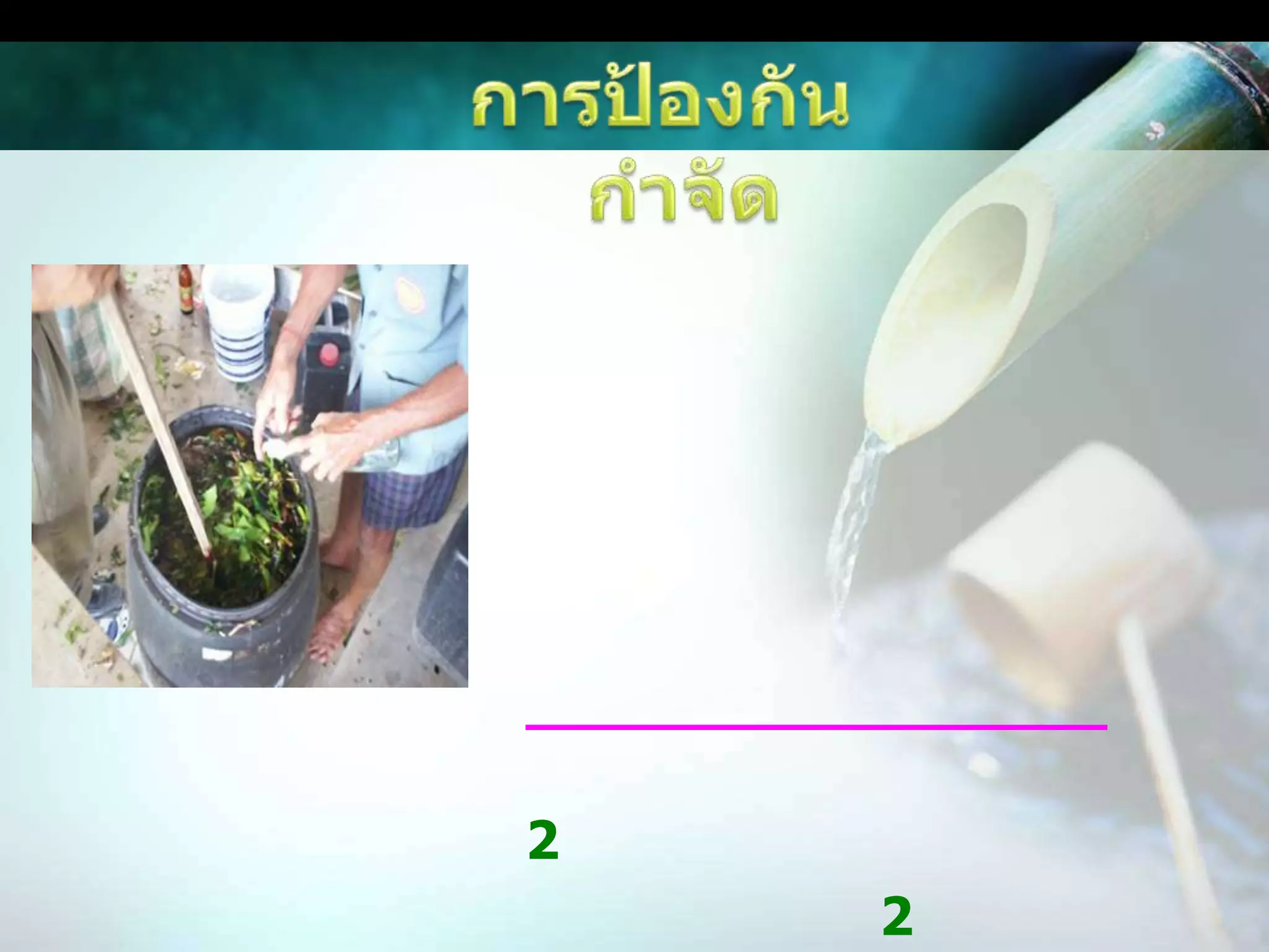 การป้องกันกำจัดปลูกข้าวพันธุ์ต้านทานเพลี้ยกระโดดสีน้ำตาล และควรปลูกข้าวหลาย ๆ พันธุ์สลับกัน ช่วงที่ระบาด ใช้แสงไฟล่อแมลง และทำลายสูตรน้ำหมักกำจัดเพลี้ยกระโดดสีน้ำตาลส่วนผสมในการทำหัวเชื้อ น้ำส้มสายชูกลั่น (อสร.) จำนวน 2 ขวดใหญ่เหล้าขาว จำนวน 2 ขวดบอระเพ็ด,สาบเสือ,เปลือกสะเดา ทุบ หรือสับละเอียด จำนวน 3 กก.หัวเชื้ออีเอ็มจำนวน 1 แก้ว