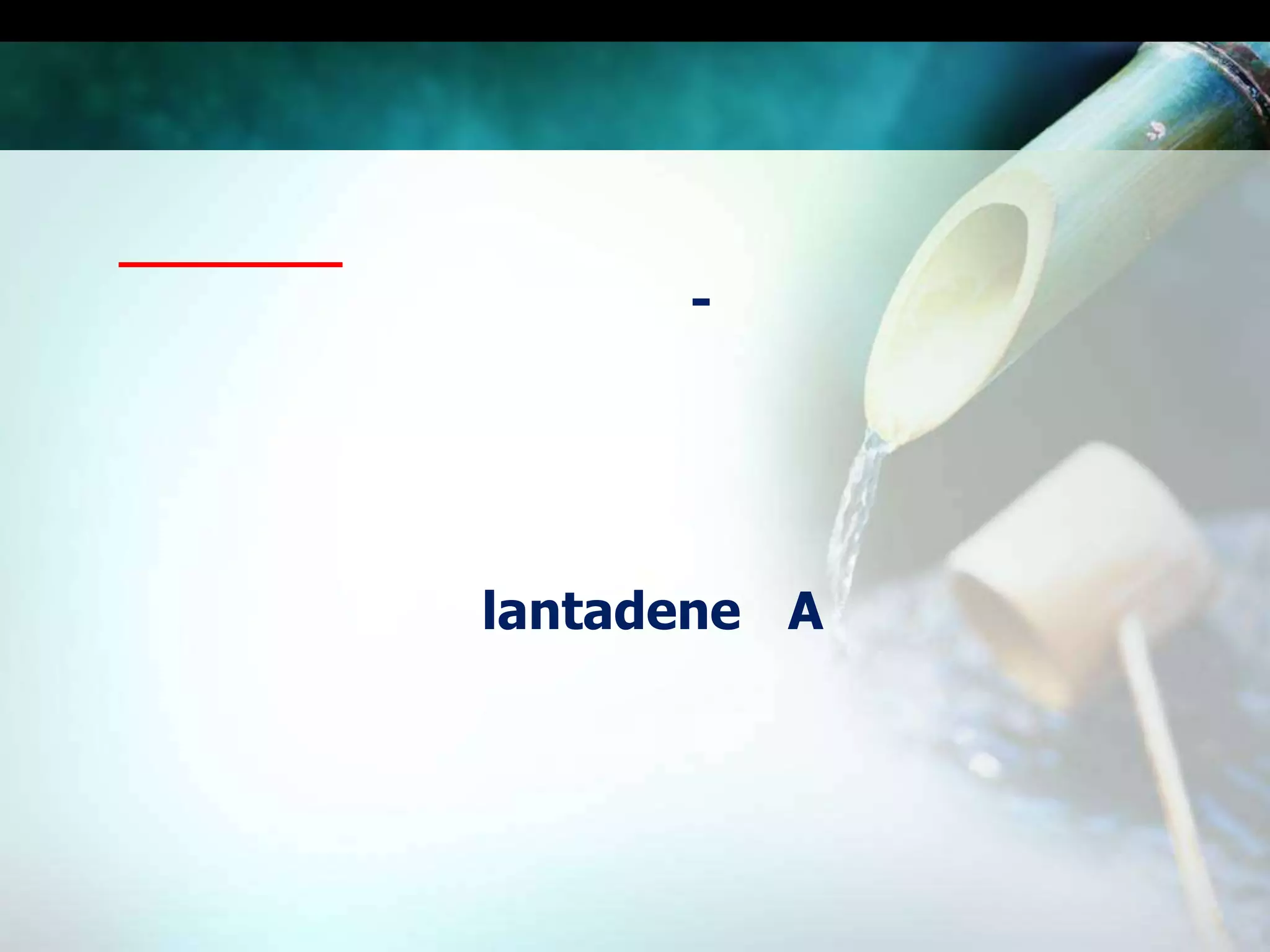 ผกากรองเป็นไม้กิ่งพุ่มสูง 1-2 เมตร มีกลิ่นรุนแรง  ใบออกตรงกันข้าม  กลีบดอกย่อยสีชมพู แดง เหลือง ขาวและส้มติดกันเป็นหลอด  กลีบเลี้ยงมีสีเขียว  ลกลม  เมื่อลูกมีสีดำภายในมี 2 เมล็ด  ออกดอกตลอดปี กากรองนั้นมีสาร lantadene A ซึ่งมีพิษต่อระบบประสาทของแมลงวิธีสกัด  ใช้ดอกและใบ 50 กรัมบดกับน้ำกลั่น 400 ซีซี หรือใช้เมล็ดบดละเอียดอัตรา 1 ต่อ 2 ส่วนแช่ทิ้งไว้ 24 ชั่วโมงแล้วกรองแต่น้ำไปฉีดแมลงศัตรูเป้าหมาย  กำจัดหนอนห่อใบข้าววัยที่ 2 