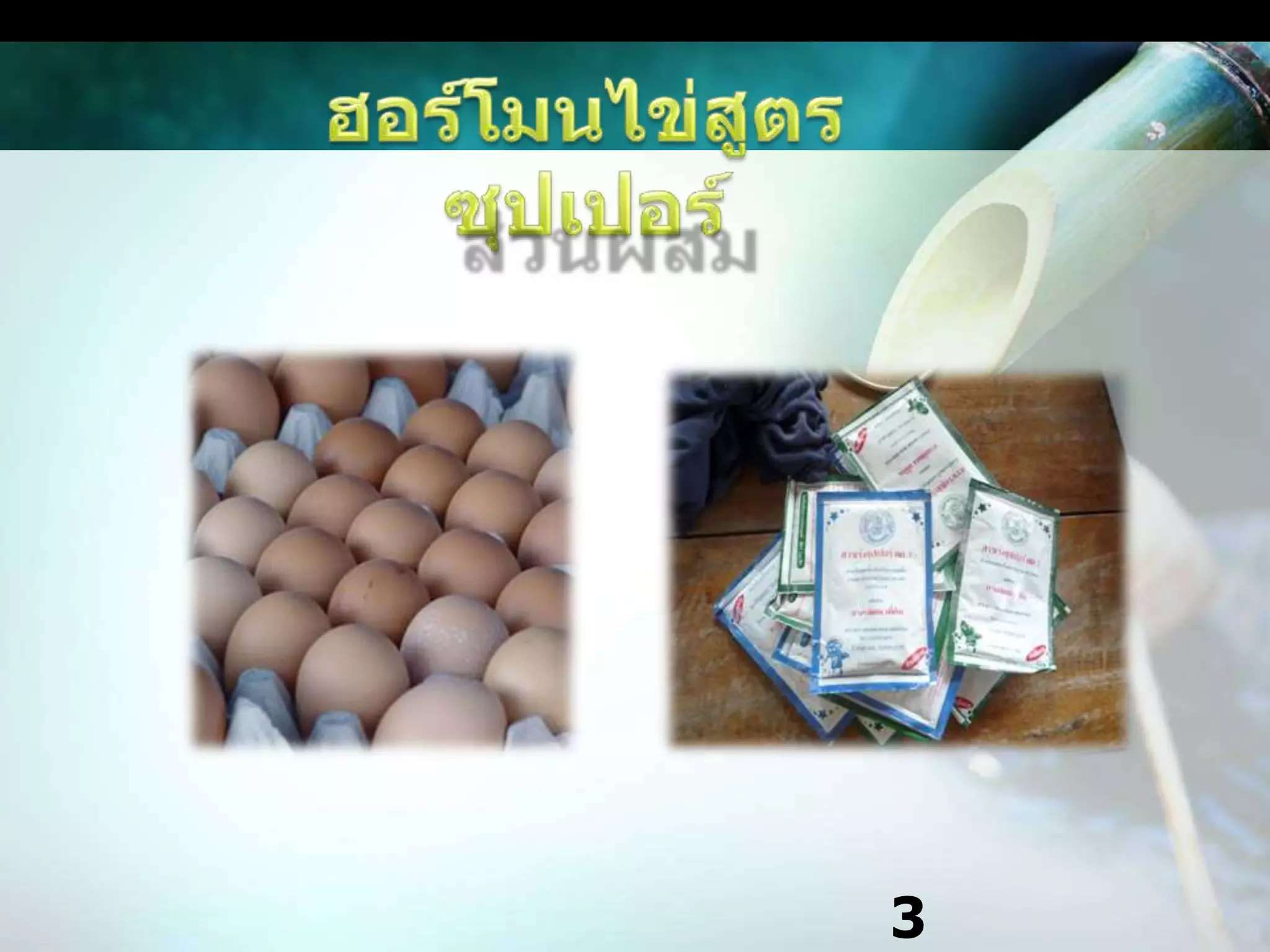 น้ำหมักสูตรบำรุงข้าวช่วงตั้งท้องส่วนผสม- กากมะพร้าวที่คันกะทิออกหมดแล้ว จำนวน 5 กิโลกรัม- มะเขือพวง และมะเขือเทศรวมกัน จำนวน 5 กิโลกรัม- ลูกตาลสุก จำนวน 30 กิโลกรัม- กากน้ำตาล จำนวน 10 ลิตร- น้ำสะอาดพอดีท่วม 