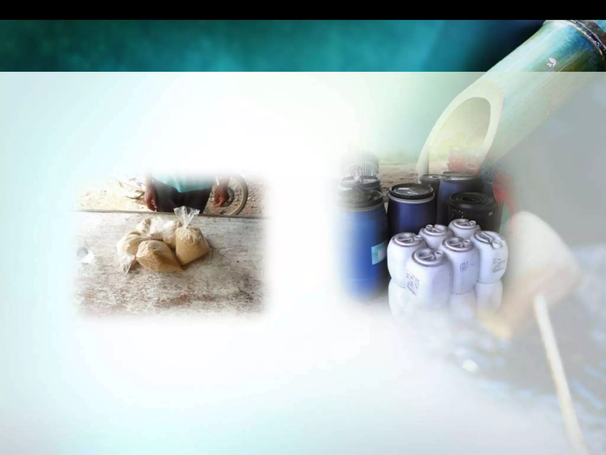 วิธีทำ- นำลูกตาลสุข มะเขือพวง และมะเขือเทศมาทุบให้พอแตก เตรียมไว้- ละลายกากน้ำตาลจำนวน 10 ลิตร ใส่ในภาชนะพลาสติกปิดฝาให้สนิท- นำลูกตาล มะเขือพวง มะเขือเทศ และมะพร้าวใส่ลงในภาชนะที่ละลายกากน้ำตาลแล้ว คนให้เข้ากันเติมน้ำลงไปพอดีท่วมส่วนผสมทั้งหมด- นำถังหมักตั้งไว้ในที่ร่ม ปิดฝาให้สนิทหมักนาน 40 วัน สามารถนำไปใช้ประโยชน์ได้การนำไปใช้ประโยชน์- ฉีดพ่นบำรุงต้นข้าวช่วงเริ่มตั้งท้อง ช่วงเดือนกันยายนครั้งเดียวเท่านั้นโดยใช้น้ำหมัก 30 ลิตร /ไร่ หยดให้ทั่วแปลง เพื่อให้ละลายตามน้ำซึ่งแปลงควรมีระดับน้ำประมาณ 20 – 30 เซนติเมตร