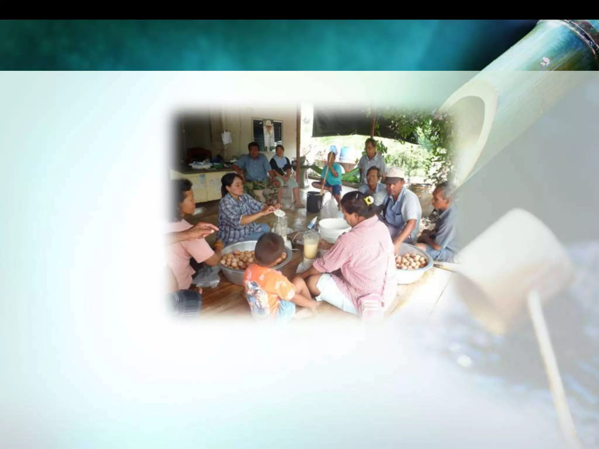 ลูกแป้งข้าวหมาก 2 ลูกกากน้ำตาล