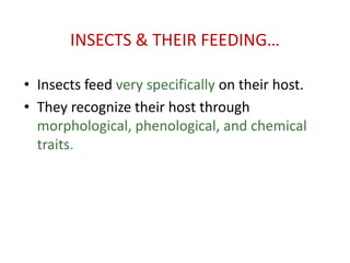 INSECTS & THEIR FEEDING…
• Insects feed very specifically on their host.
• They recognize their host through
morphological, phenological, and chemical
traits.
 